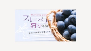 【制作実績】株式会社わかさ生活様「ブルーベリーのある生活」バナー｜ブルーベリー特化サイト